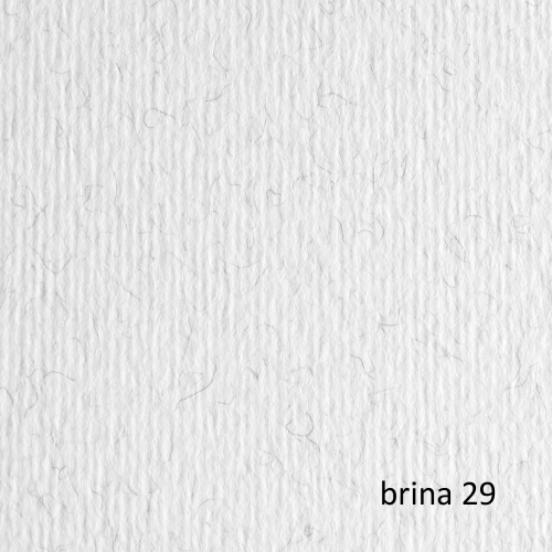 BLISTER 10FG CARTONCINO 70X100 220GR BRINA 129 FABRIANO ELLE ERRE